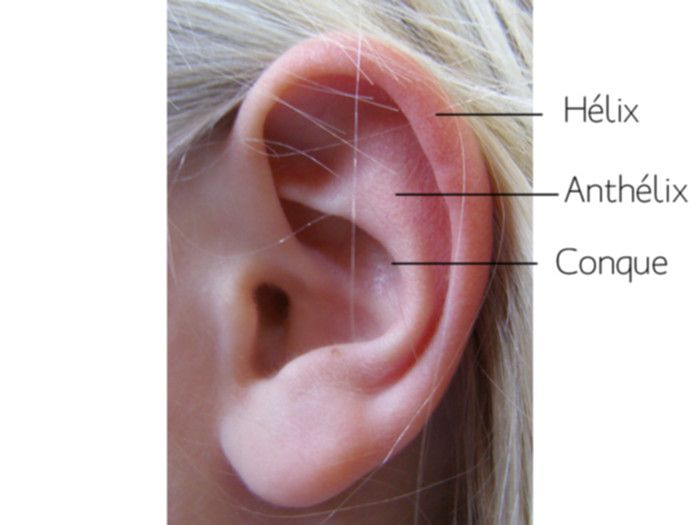 ear surgery
