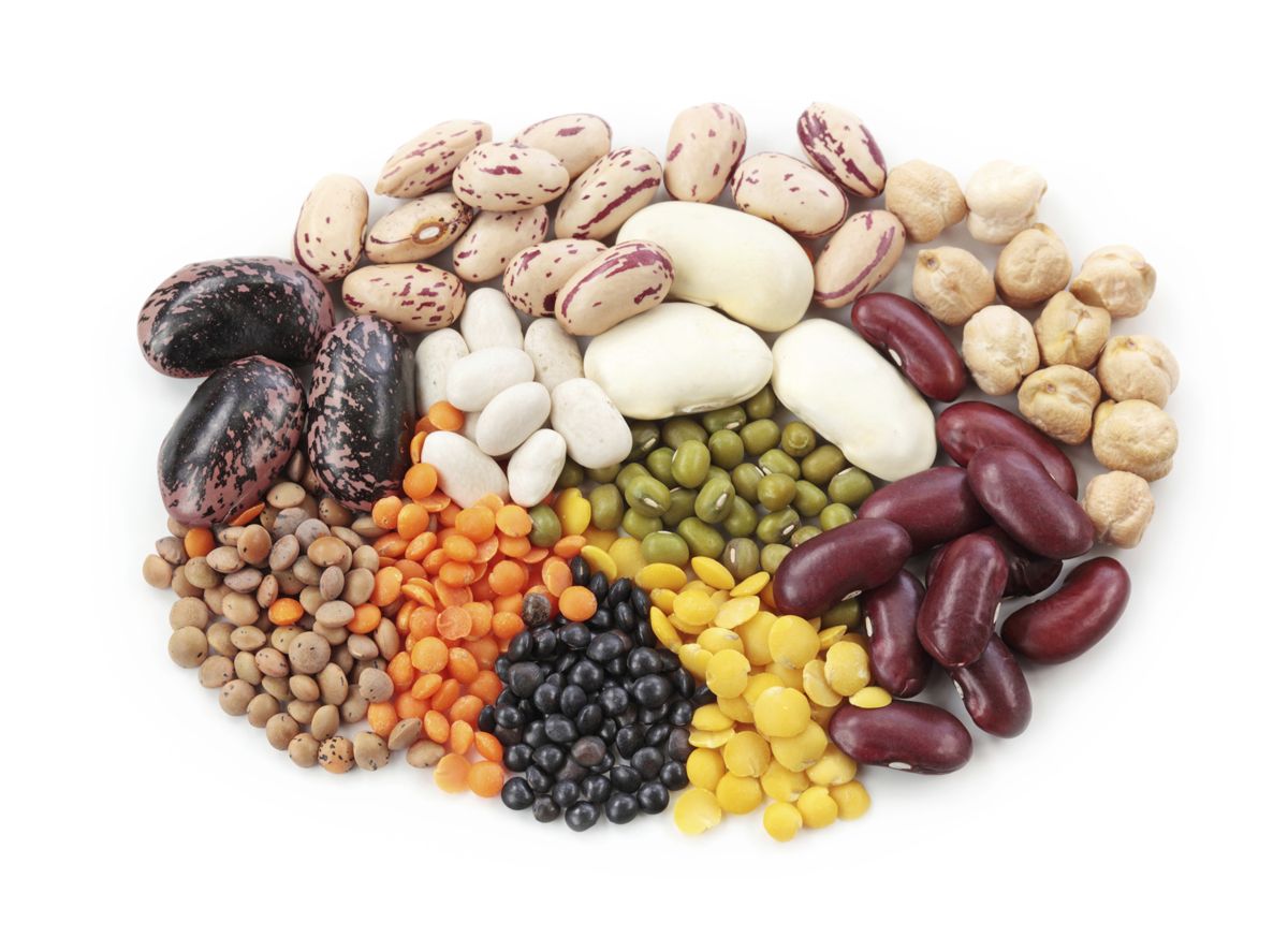 legumineuse pour une alimentation saine